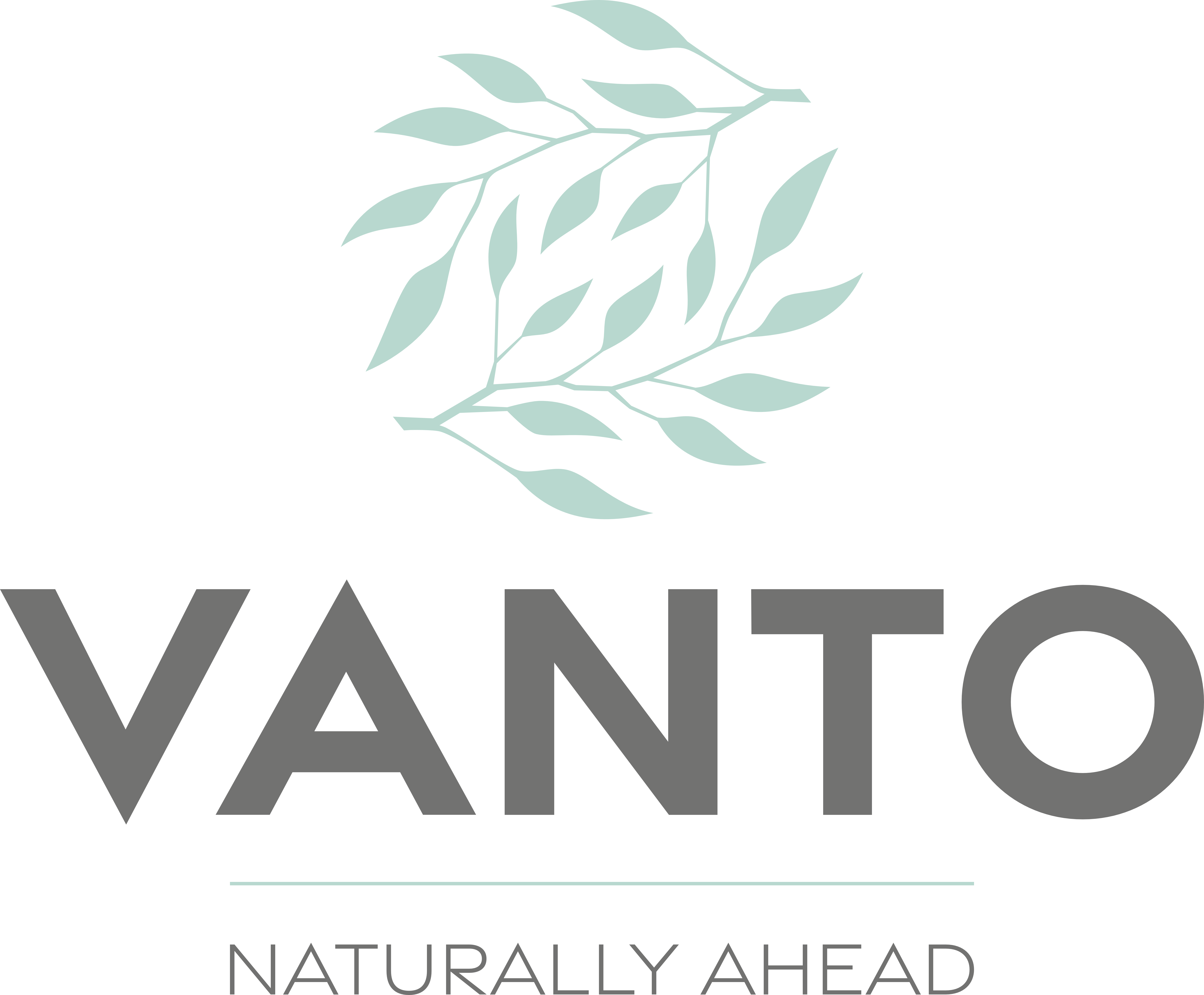 Vanto Logo